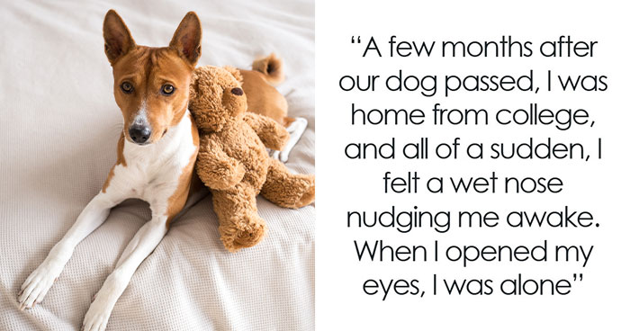 “Never Found Her”: 67 Real-Life Mysteries That Still Haunt The People Who Witnessed Them