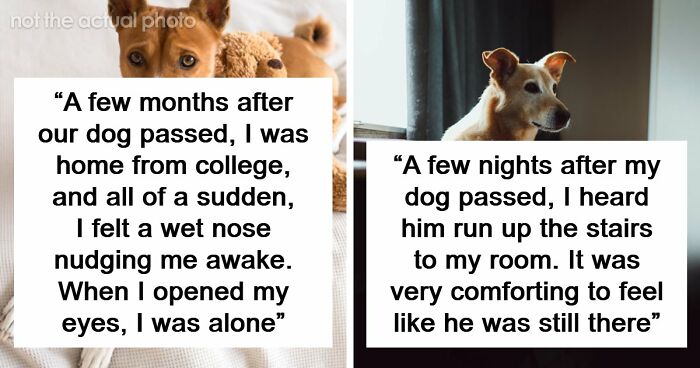“Never Found Her”: 67 Real-Life Mysteries That Still Haunt The People Who Witnessed Them