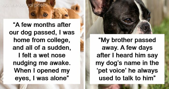 “Never Found Her”: 67 Real-Life Mysteries That Still Haunt The People Who Witnessed Them