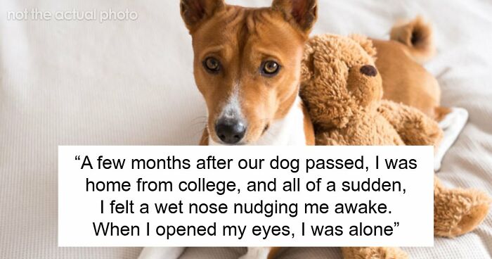 “Never Found Her”: 67 Real-Life Mysteries That Still Haunt The People Who Witnessed Them
