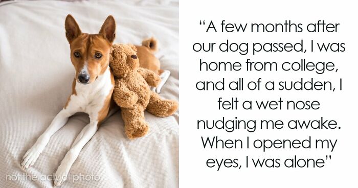 “Never Found Her”: 67 Real-Life Mysteries That Still Haunt The People Who Witnessed Them