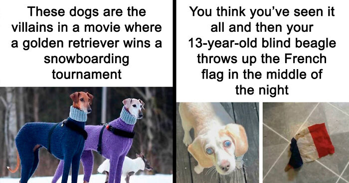 55 Miscellaneous Posts That Might Entertain You When You Get Bored At Work
