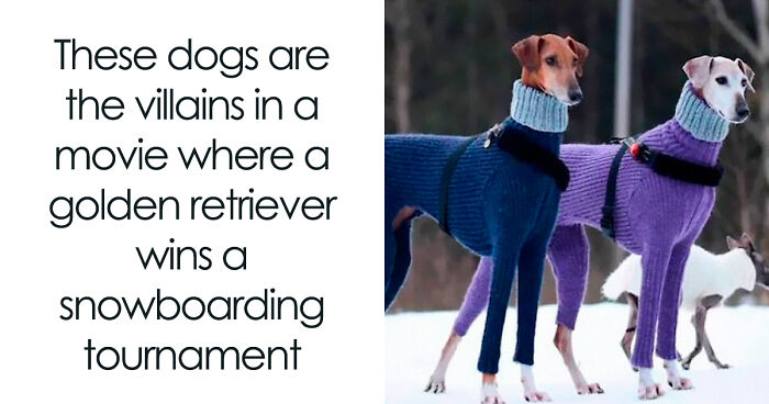 55 Miscellaneous Posts That Might Entertain You When You Get Bored At Work