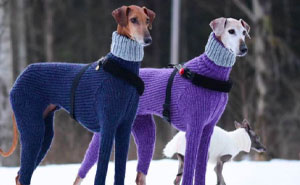 55 Miscellaneous Posts That Might Entertain You When You Get Bored At Work
