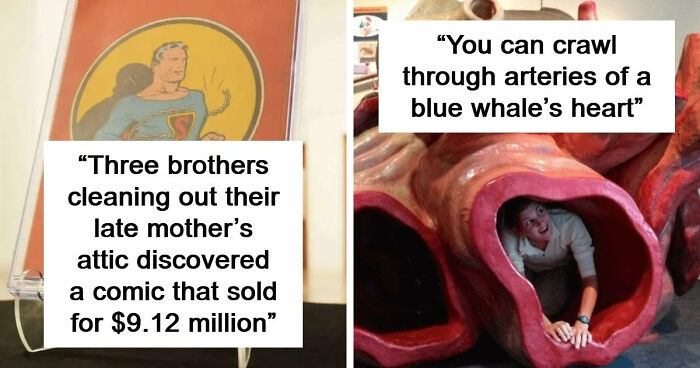 95 Photos That Got People Saying ‘Damn, That’s Interesting’