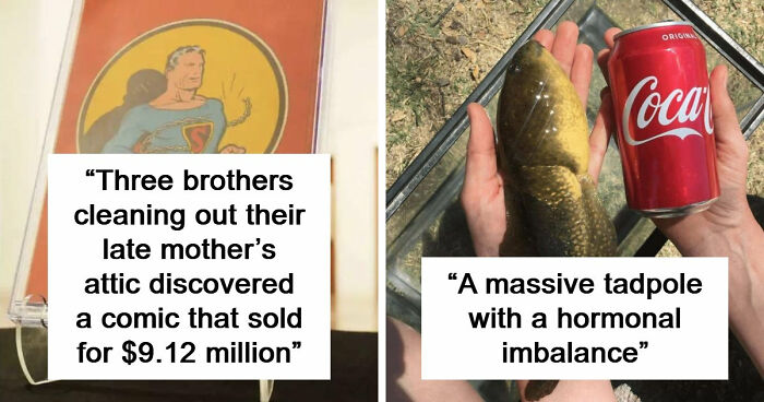 95 Photos That Got People Saying ‘Damn, That’s Interesting’