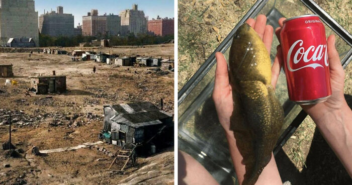 95 Photos That Got People Saying ‘Damn, That’s Interesting’