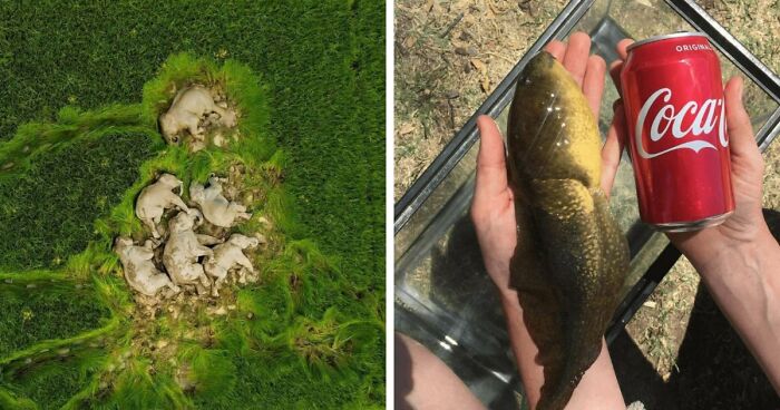 95 Photos That Got People Saying ‘Damn, That’s Interesting’