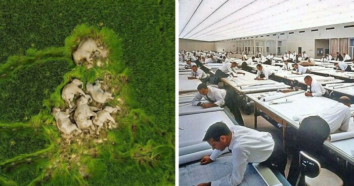 95 Photos That Got People Saying ‘Damn, That’s Interesting’