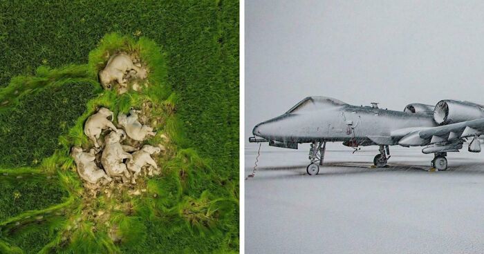 95 Photos That Got People Saying ‘Damn, That’s Interesting’