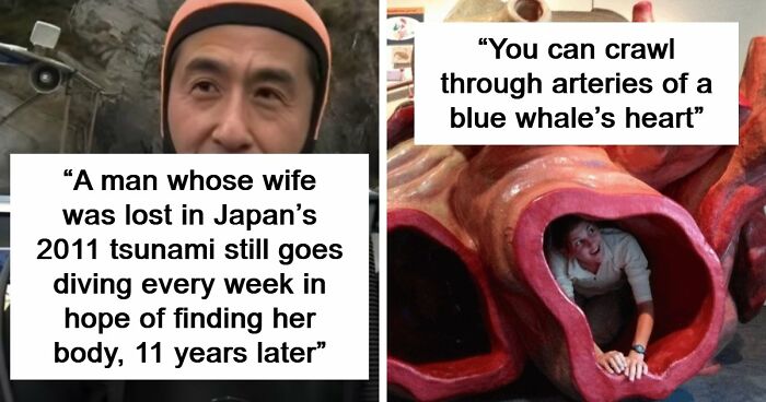 95 Photos That Got People Saying ‘Damn, That’s Interesting’
