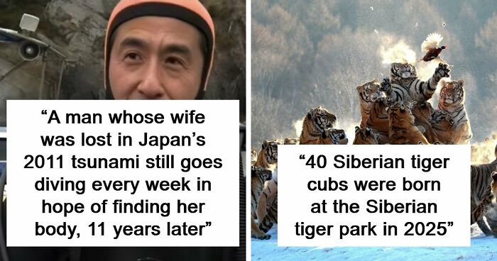 95 Photos That Got People Saying ‘Damn, That’s Interesting’