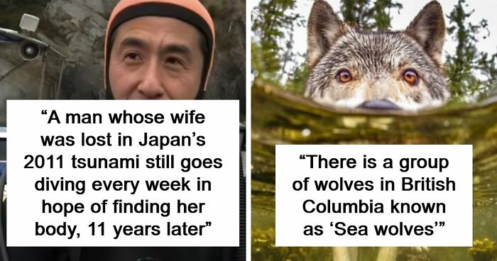 95 Photos That Got People Saying ‘Damn, That’s Interesting’