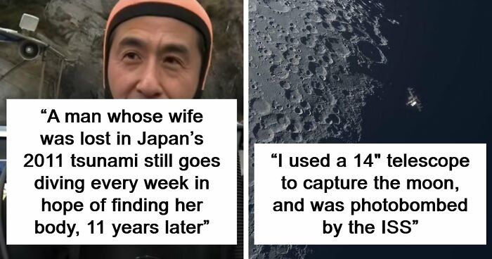 95 Photos That Got People Saying ‘Damn, That’s Interesting’