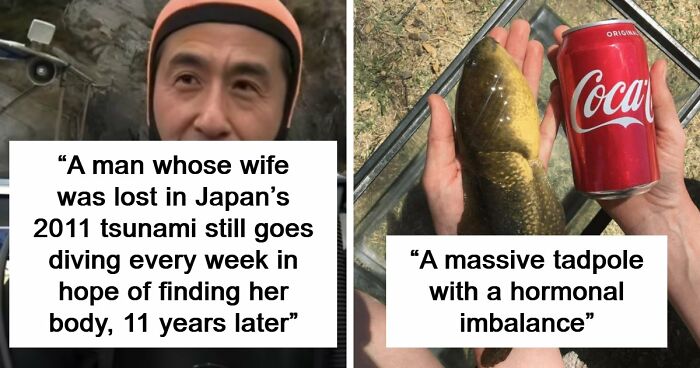 95 Photos That Got People Saying ‘Damn, That’s Interesting’