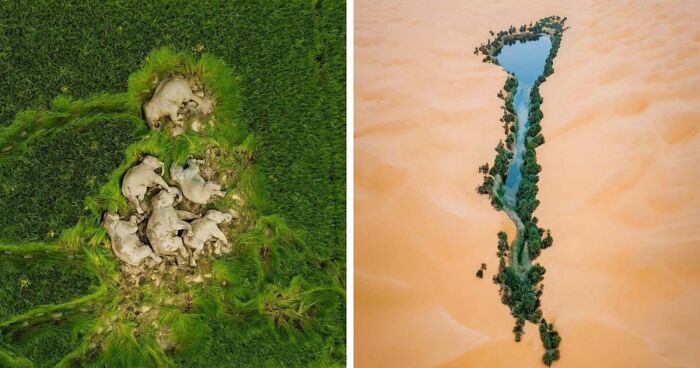 95 Photos That Got People Saying ‘Damn, That’s Interesting’