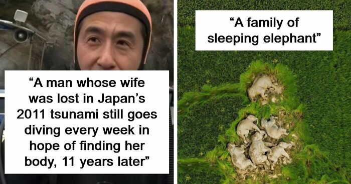95 Photos That Got People Saying ‘Damn, That’s Interesting’