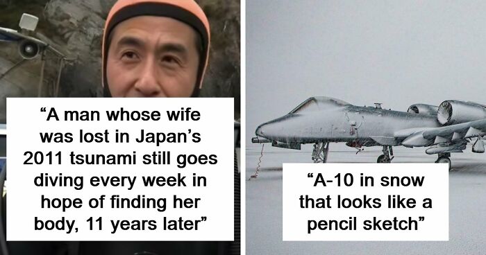 95 Photos That Got People Saying ‘Damn, That’s Interesting’