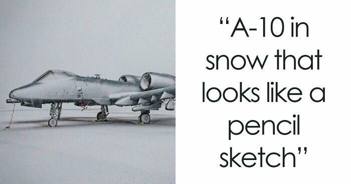 95 Photos That Got People Saying ‘Damn, That’s Interesting’