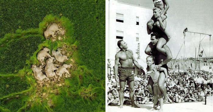 95 Photos That Got People Saying ‘Damn, That’s Interesting’