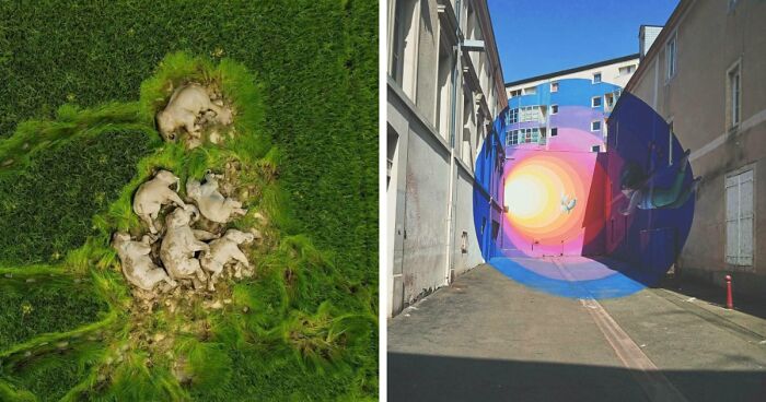 95 Photos That Got People Saying ‘Damn, That’s Interesting’