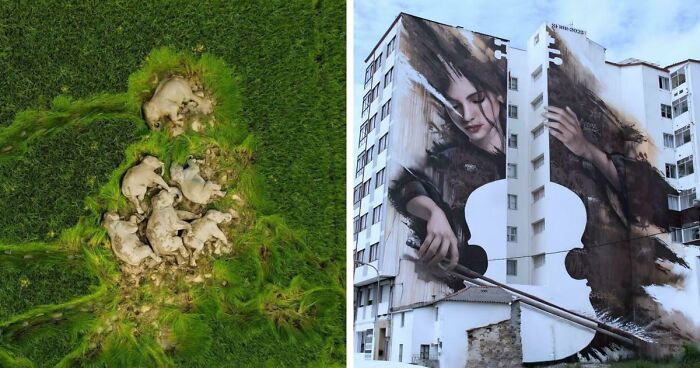 95 Photos That Got People Saying ‘Damn, That’s Interesting’