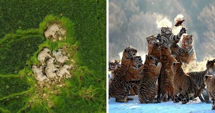 95 Photos That Got People Saying ‘Damn, That’s Interesting’