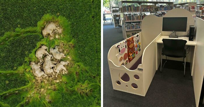 95 Photos That Got People Saying ‘Damn, That’s Interesting’