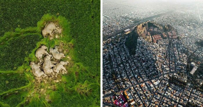 95 Photos That Got People Saying ‘Damn, That’s Interesting’