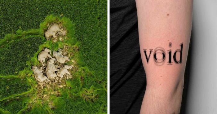 95 Photos That Got People Saying ‘Damn, That’s Interesting’