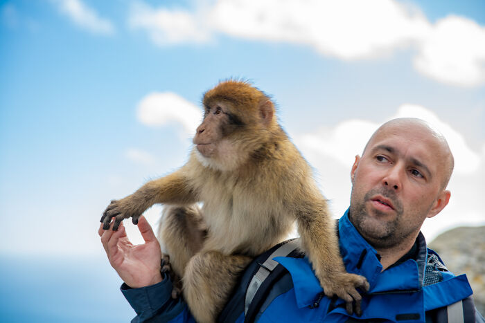 A man with a monkey on his shoulder, highlighting diverse human behavior.