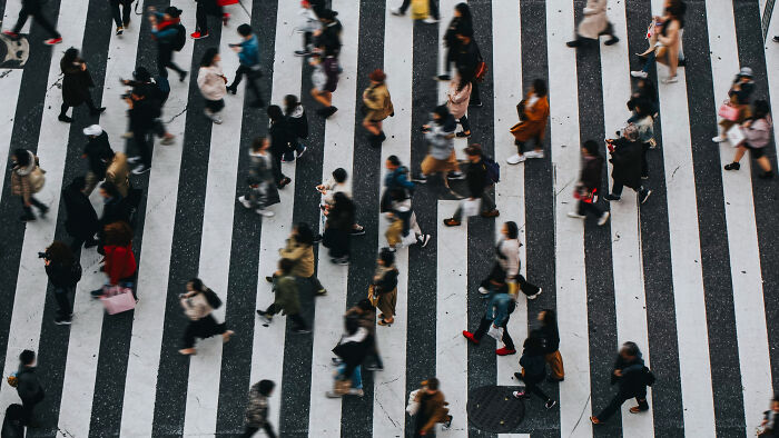 An overhead shot of people walking across a zebra crossing, illustrating diverse human behavior.