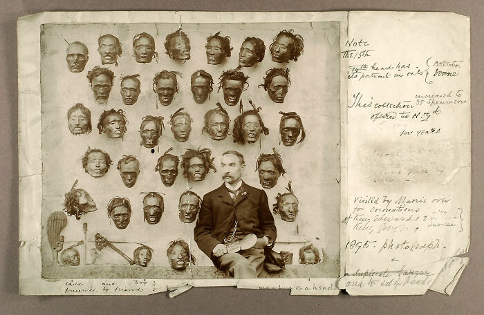 Horatio Robley, Seated With His Collection