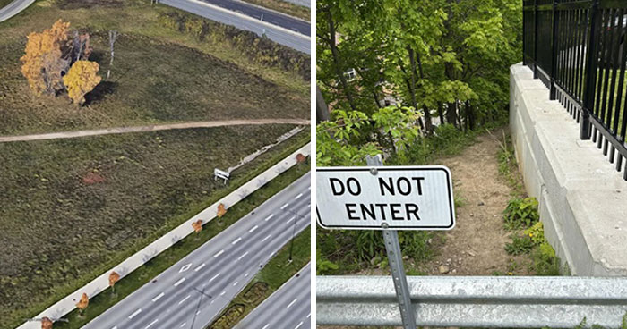 75 “Desire Paths” That Show Human Stubbornness In The Best Way Possible (New Pics)