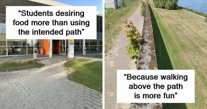 75 “Desire Paths” That Show Human Stubbornness In The Best Way Possible (New Pics)