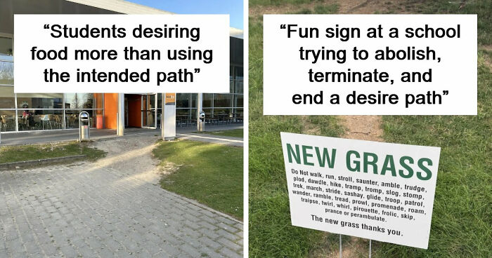 75 “Desire Paths” That Show Human Stubbornness In The Best Way Possible (New Pics)