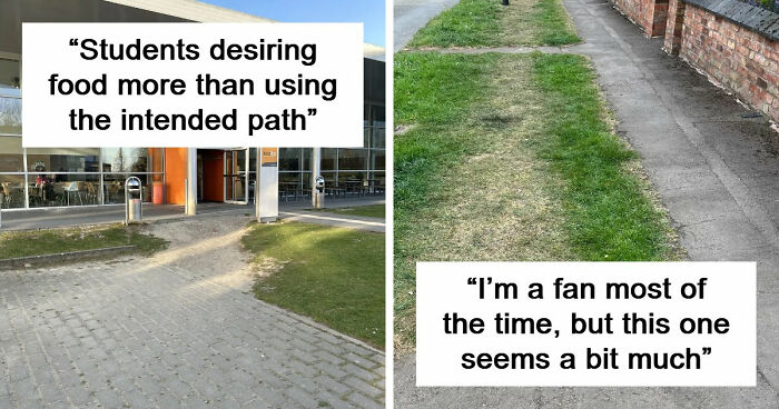 75 “Desire Paths” That Show Human Stubbornness In The Best Way Possible (New Pics)