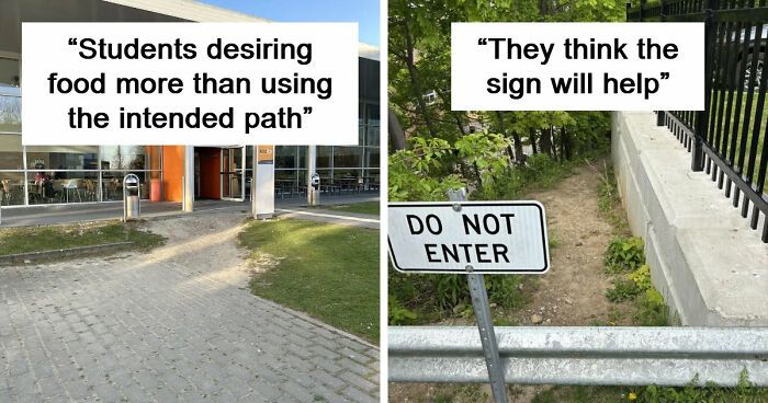 75 “Desire Paths” That Show Human Stubbornness In The Best Way Possible (New Pics)