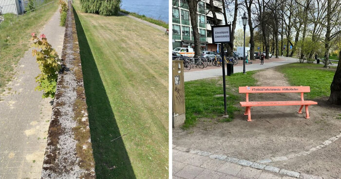 75 “Desire Paths” That Show Human Stubbornness In The Best Way Possible (New Pics)