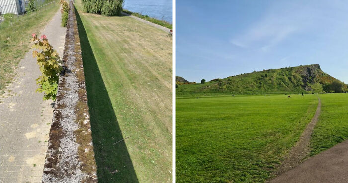 75 “Desire Paths” That Show Human Stubbornness In The Best Way Possible (New Pics)