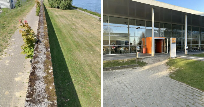 75 “Desire Paths” That Show Human Stubbornness In The Best Way Possible (New Pics)