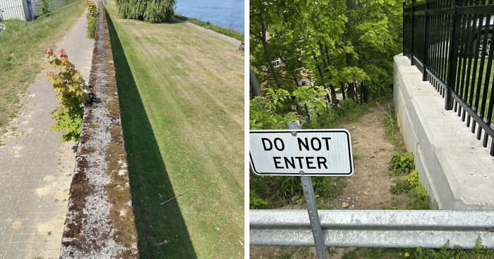 75 “Desire Paths” That Show Human Stubbornness In The Best Way Possible (New Pics)