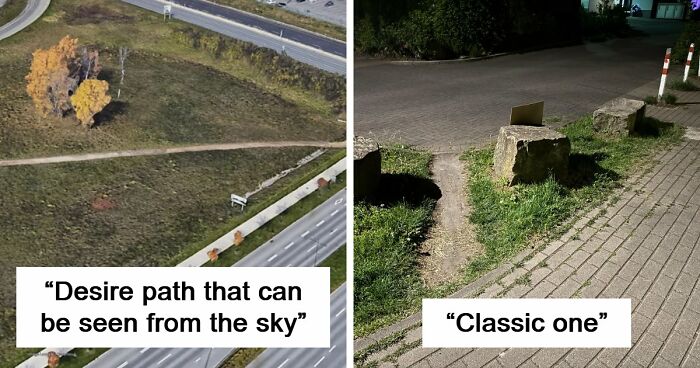 75 “Desire Paths” That Show Human Stubbornness In The Best Way Possible (New Pics)
