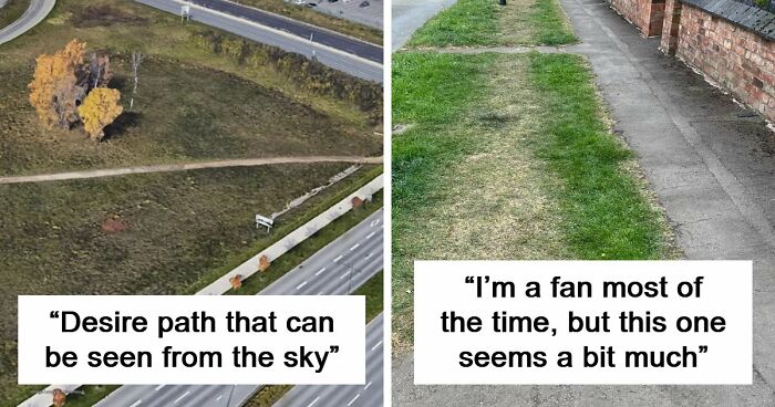 75 “Desire Paths” That Show Human Stubbornness In The Best Way Possible (New Pics)