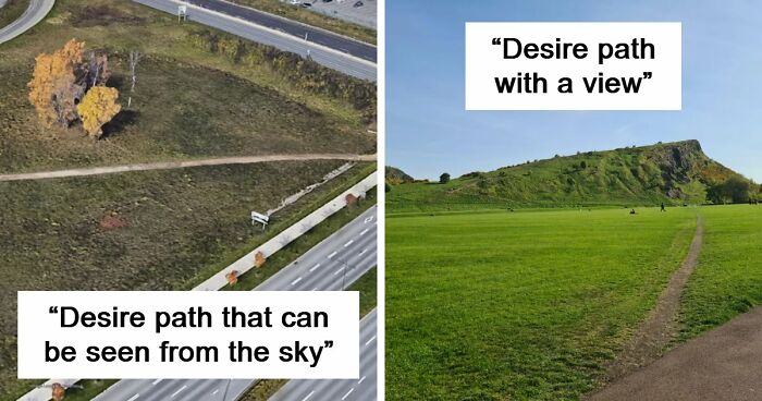 75 “Desire Paths” That Show Human Stubbornness In The Best Way Possible (New Pics)