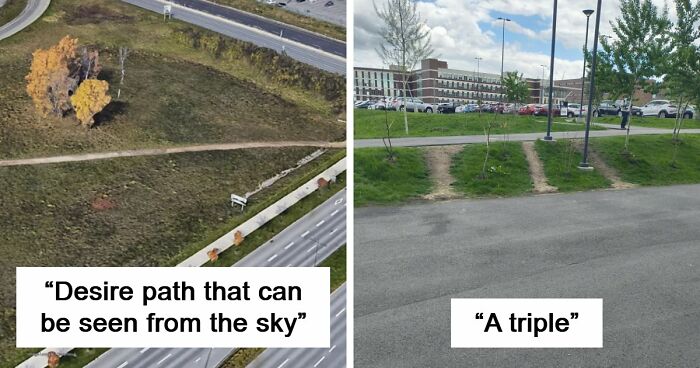 75 “Desire Paths” That Show Human Stubbornness In The Best Way Possible (New Pics)