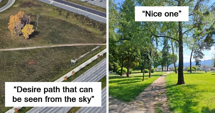 75 “Desire Paths” That Show Human Stubbornness In The Best Way Possible (New Pics)