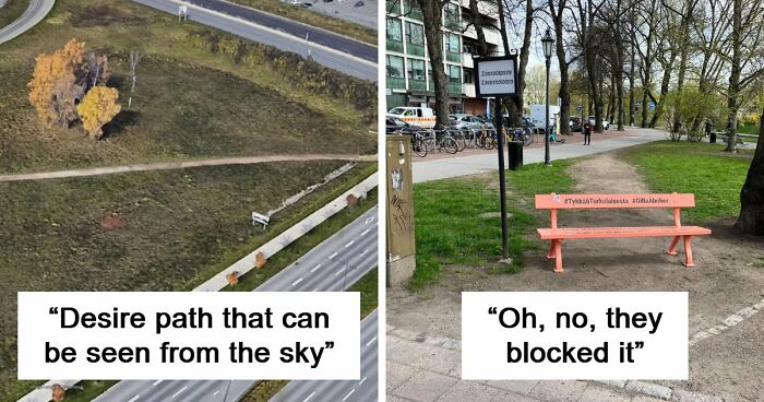75 “Desire Paths” That Show Human Stubbornness In The Best Way Possible (New Pics)