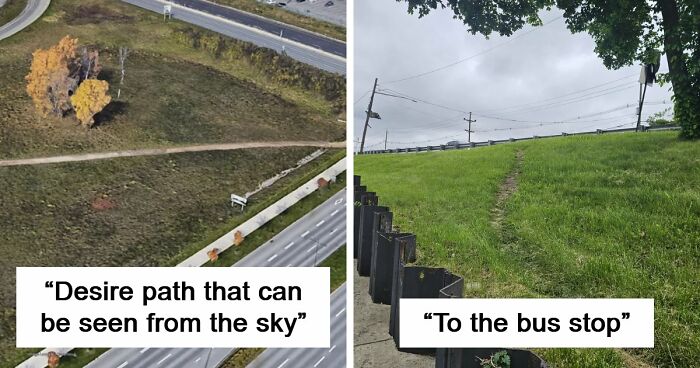 75 “Desire Paths” That Show Human Stubbornness In The Best Way Possible (New Pics)