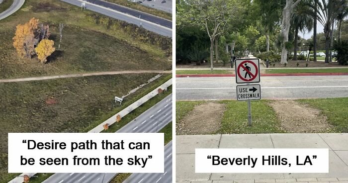 75 “Desire Paths” That Show Human Stubbornness In The Best Way Possible (New Pics)